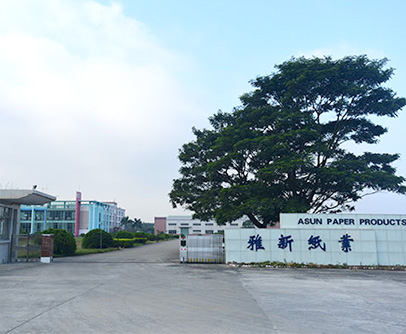 Professional Environmental Paper Cord Manufacturer